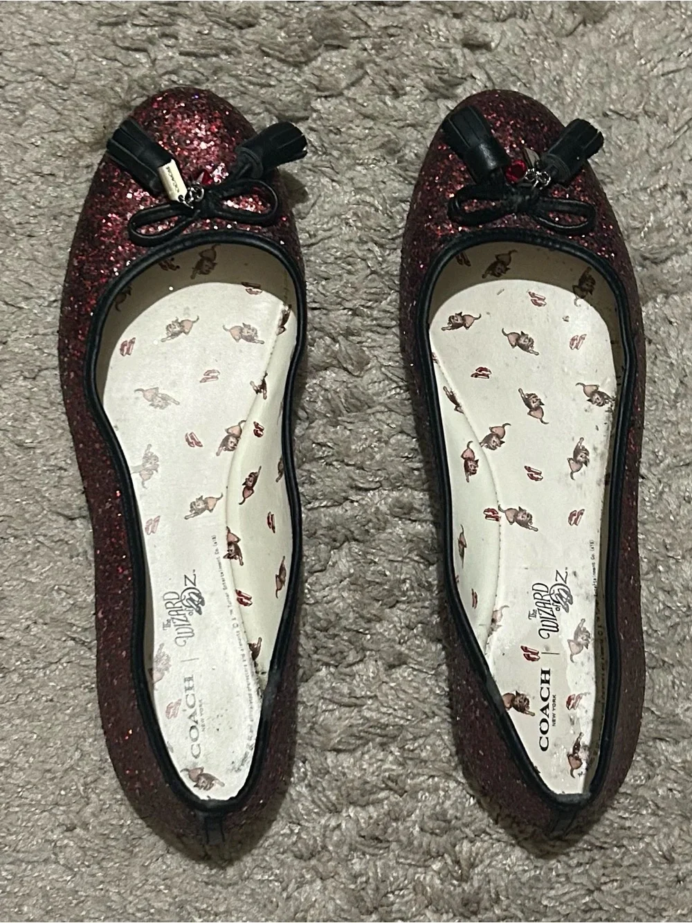 COACH x The Wizard of Oz Maryjane Flat Ruby Slippers 7.5 B
